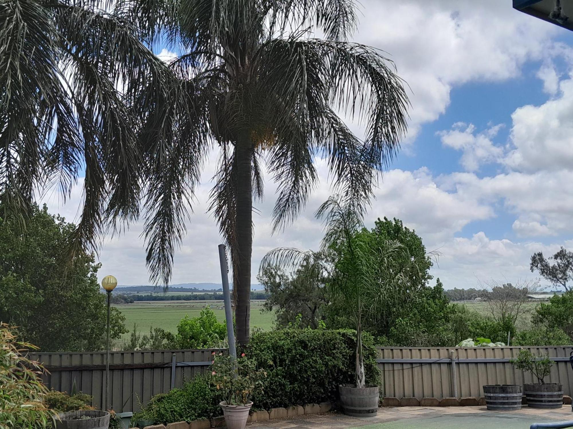 Muswellbrook Northside Bed & Breakfast Esterno foto