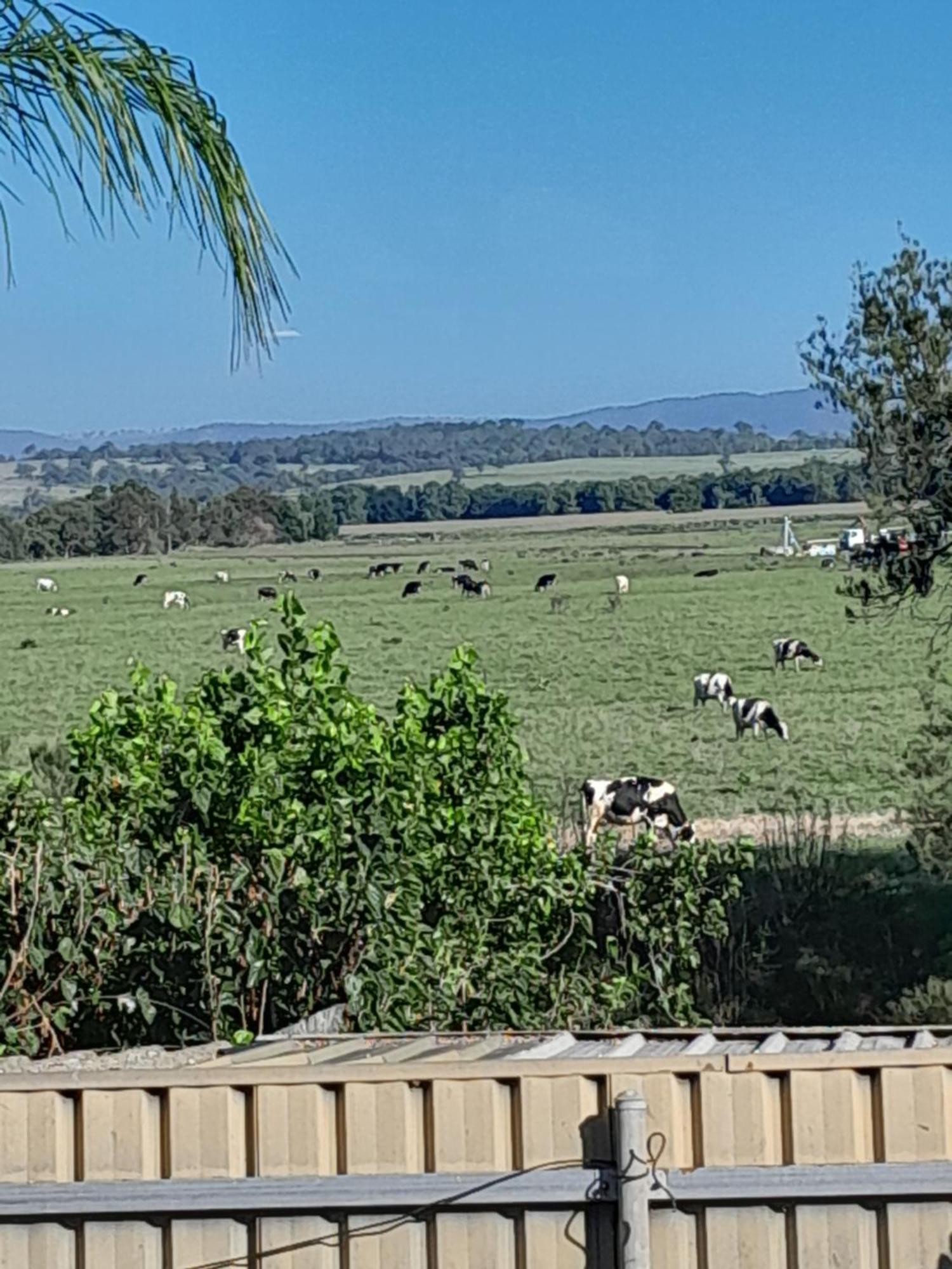 Muswellbrook Northside Bed & Breakfast Esterno foto